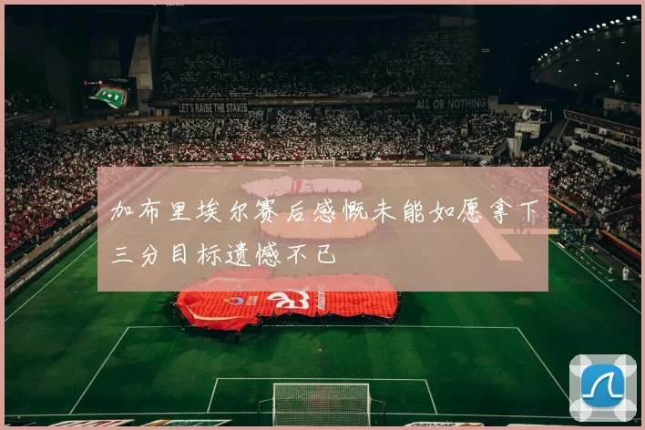 加布里埃尔赛后感慨未能如愿拿下三分目标遗憾不已