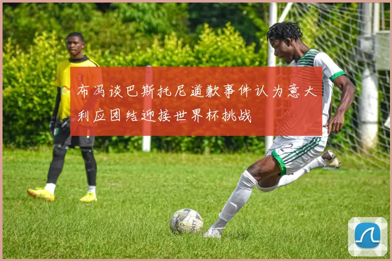 布冯谈巴斯托尼道歉事件认为意大利应团结迎接世界杯挑战